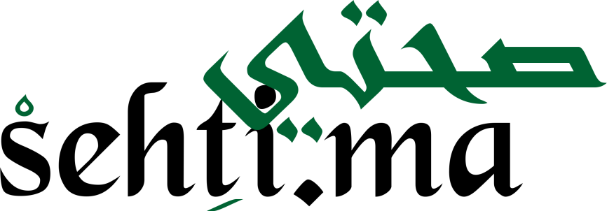 Logo sehti.ma